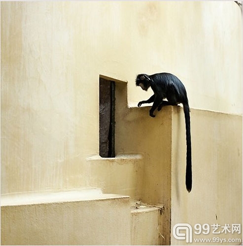 Eric PILLOT《In Situ》系列摄影 铝板艺术纸彩印