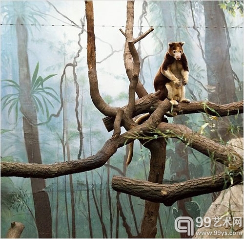 Eric PILLOT《In Situ》系列摄影 铝板艺术纸彩印