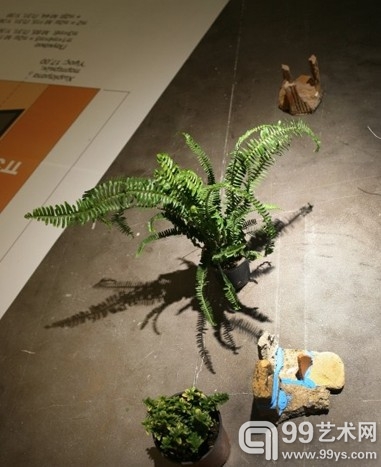 格鲁吉亚·撒加个展“Gardens”雅典开幕