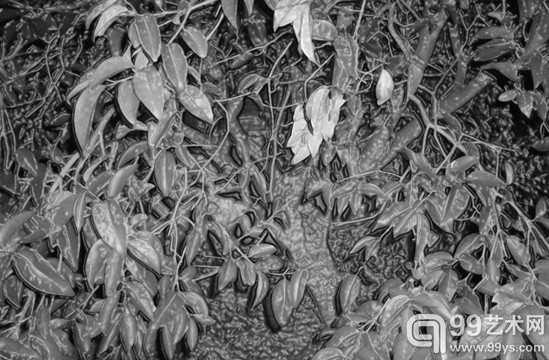 格鲁吉亚·撒加个展“Gardens”雅典开幕
