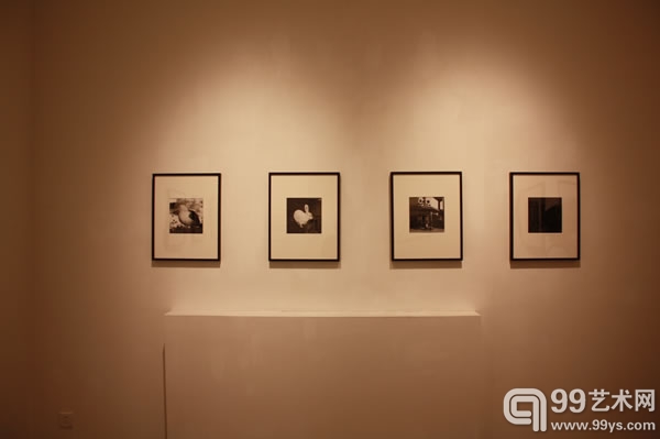 日本知名摄影师须田一政首次中国个展登陆亦安画廊现场图片6