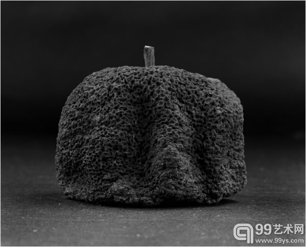 储楚_物非物—果实08_艺术微喷 增强粗面艺术纸_88×100cm_2010