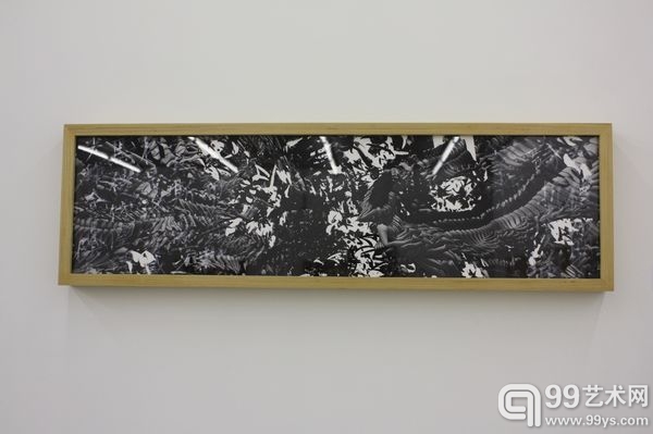 《不太晚》现场展出作品