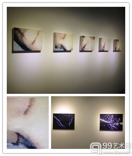 李辰子作品《050529》系列、《树》系列