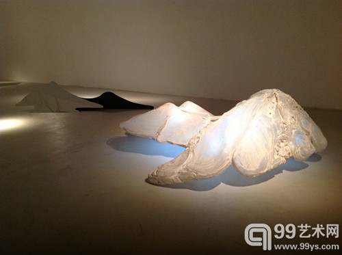 杨冬白《造山研究·与元对话》
