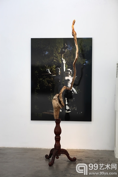 韩磊展厅