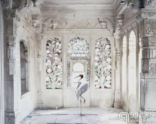 Tasveer 画廊：Karen Knorr《A Place like Amaravati, Udaipur City Palace, Udaipur》2011年作