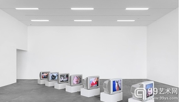 斯图尔特文（Sturtevant）个展近日苏黎世开幕