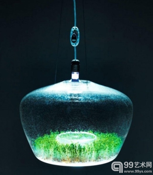 天马行空的创意灯具设计