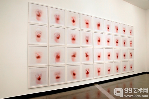 罗尼·霍恩（Roni Horn）作品《窗格（2001-2002）》（Cabinet of 2001-2002）