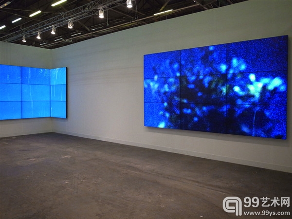 纽约大卫·茨维尔纳画廊展位，艺术家戴安娜·撒切尔（Diana Thater）的2013年作品《夜晚的白天》（Day for Night）