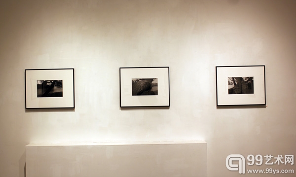 “松之物语”展览现场
