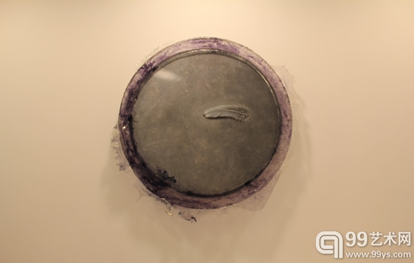 《灰色翎羽》