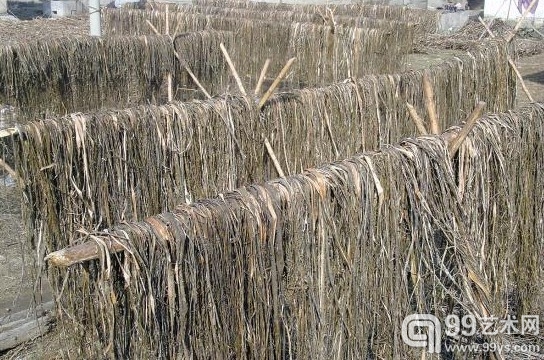业界认为，宣纸价格上涨的原因之一是宣纸所需的主料青檀皮不足。