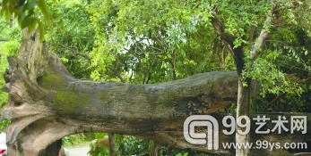  刘方刚摆放在茂德公草堂的阴沉木“万年横财”。