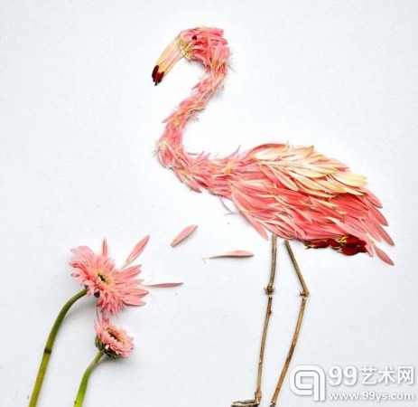 用花瓣拼接造型百变飞禽。