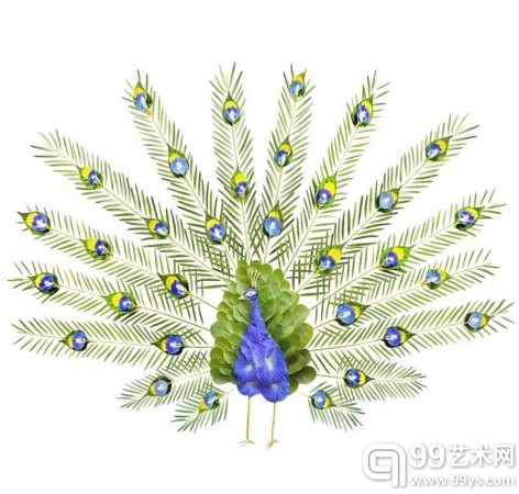 用花瓣拼接造型百变飞禽。