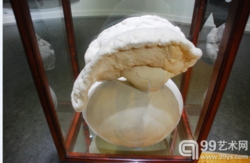 许静宇作品