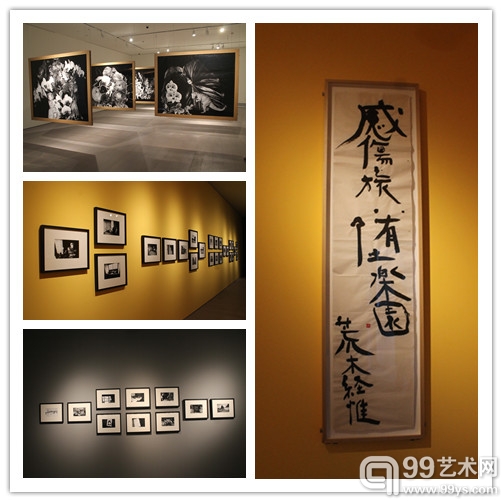 “荒木经惟：感伤之旅·堕乐园1971-2012”摄影展作品