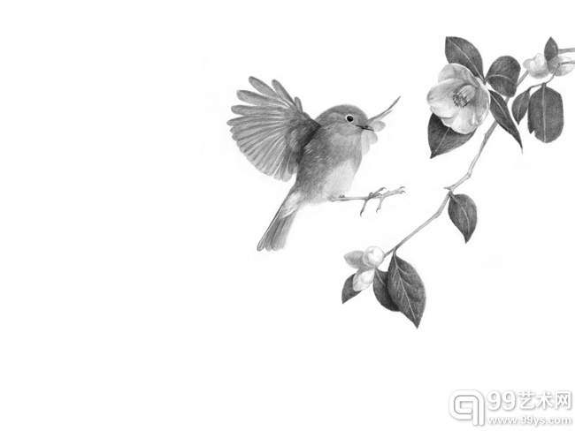 500元 友雅，万物有灵之雀与花Bird &flowers Print 40X30 Edition 版数200