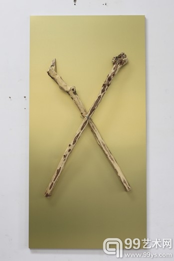 杨心广，金色， 木、铁，244X122X23cm，2013