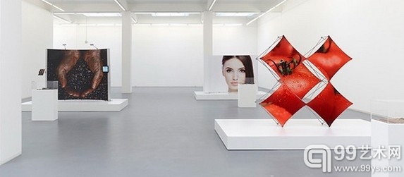 Timur Si-Qin的个展“Basin of Attraction”近日开幕