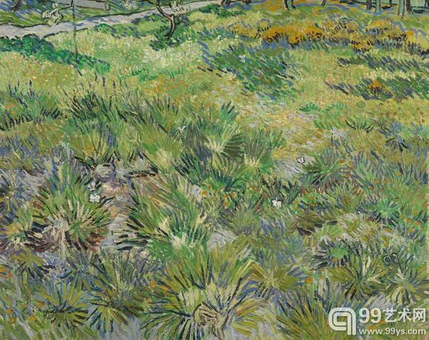 Long Grass with Butterflies