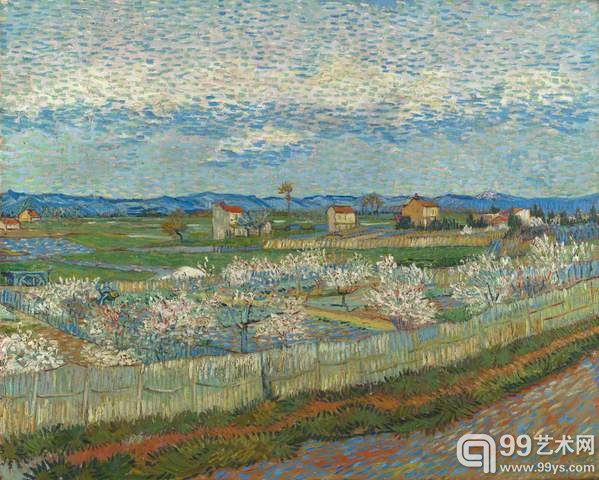 Peach Trees in Blossom