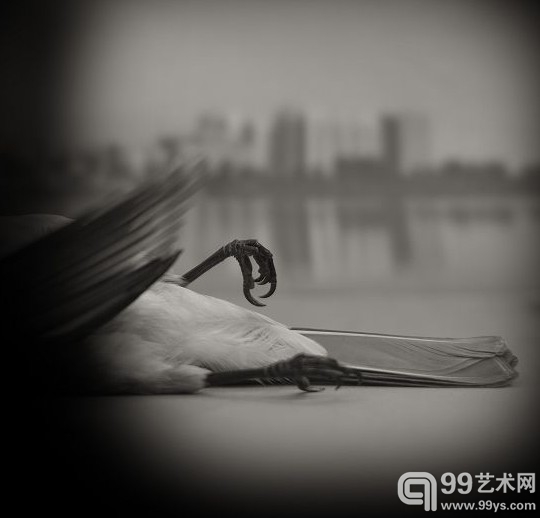 《浮尘》　　杨洋摄