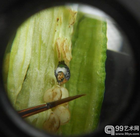 画家青辣椒上作画细节