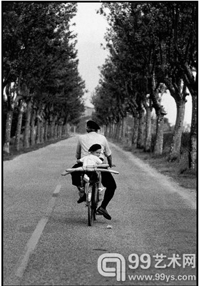 普罗旺斯，法国，1955年 作者：艾略特·厄维特