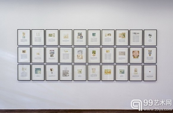 Agnieszka Kurant个展在荷兰海牙开幕