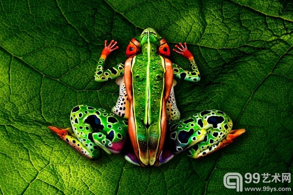 人体彩绘高手把模特画成鹦鹉和青蛙