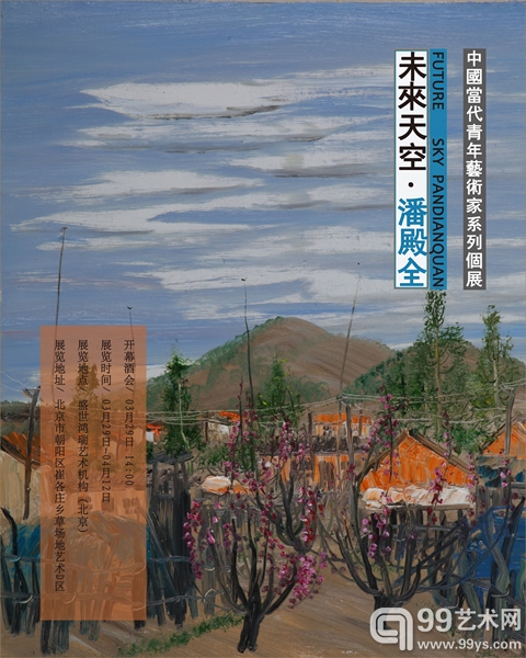 潘殿全个展“未来天空”海报