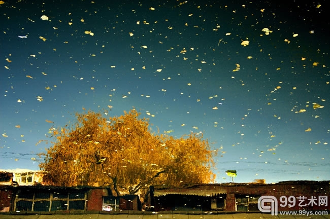 7.Han Bing ，Gold Autumn: Urban Amber, 2005