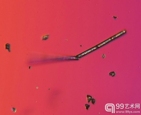 千倍放大的北京雾霾颗粒 显微镜下的雾霾艺术