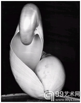 Shell（1927）