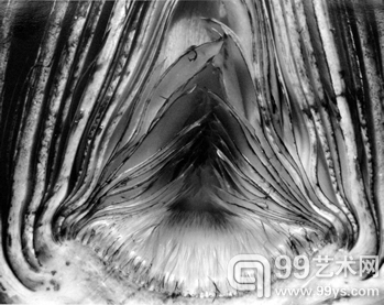 ARTICHOKE（1930）