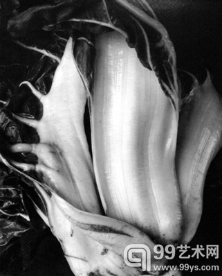 Chard（1931）