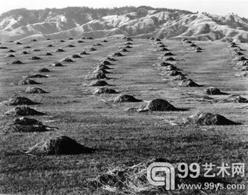 Haycocks（1937）