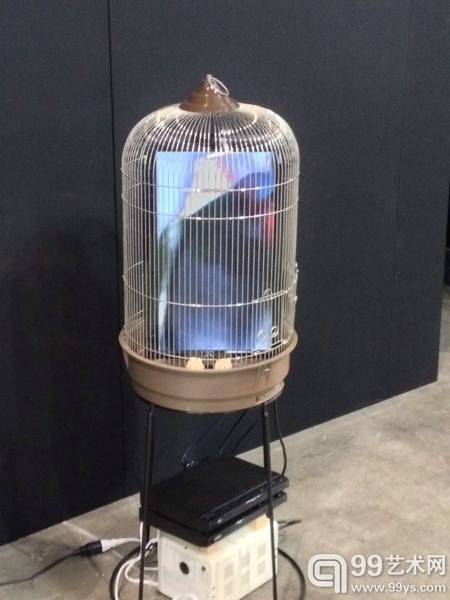 \