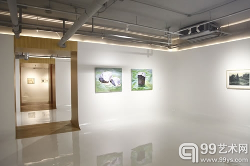 “异·常之境”展览现场