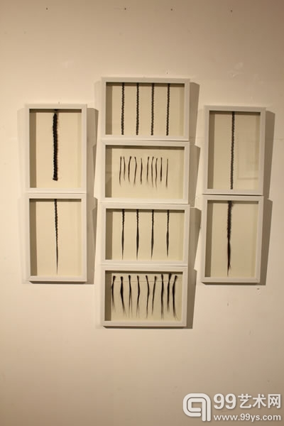 展览作品
