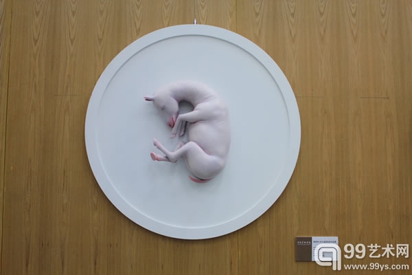 展览作品
