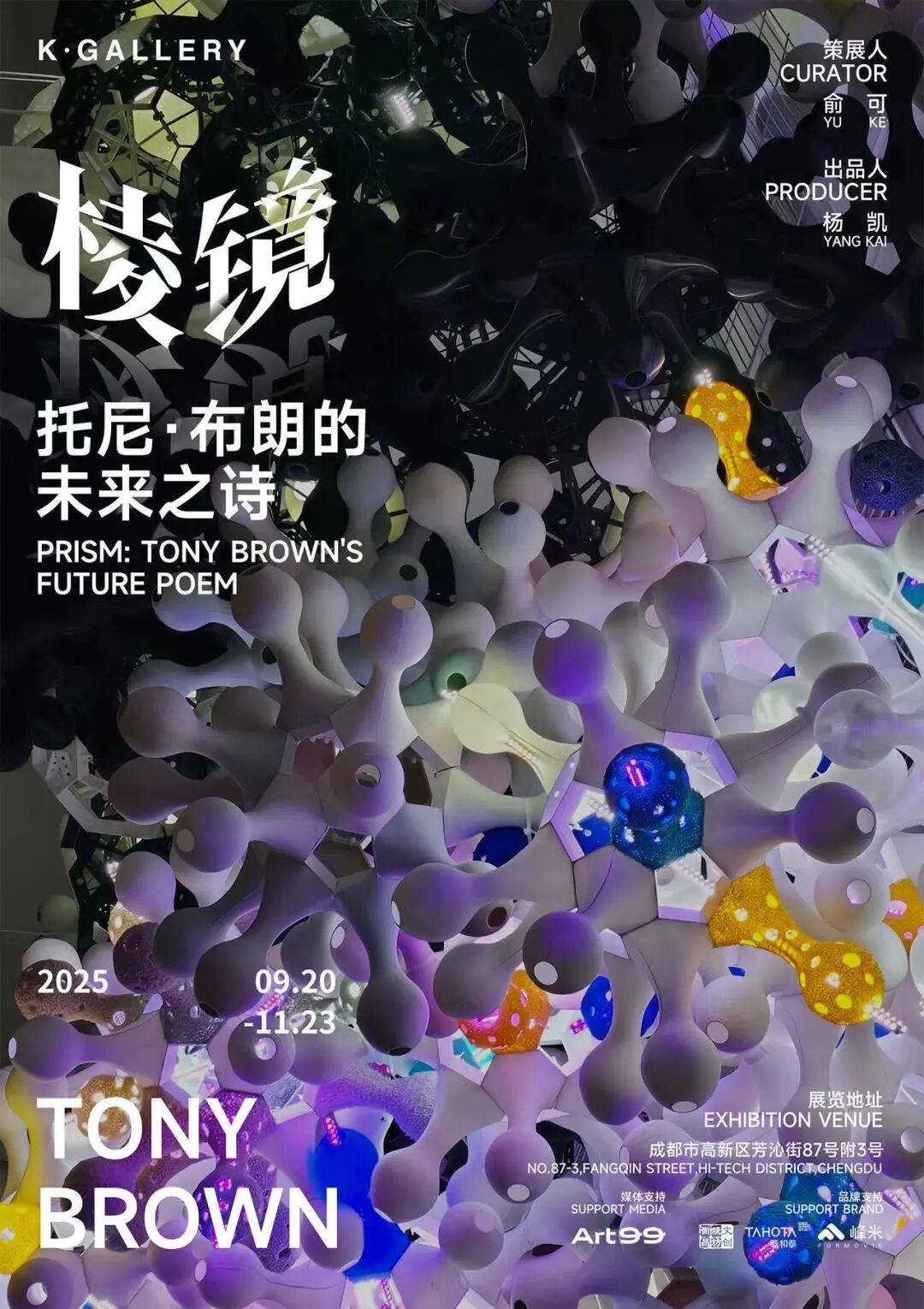 棱镜：托尼·布朗的未来之诗