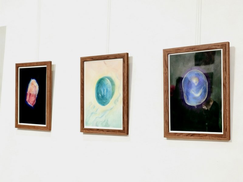 杨逍 Vessels Soft