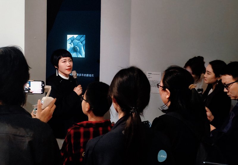 参展艺术家 卢英英导览