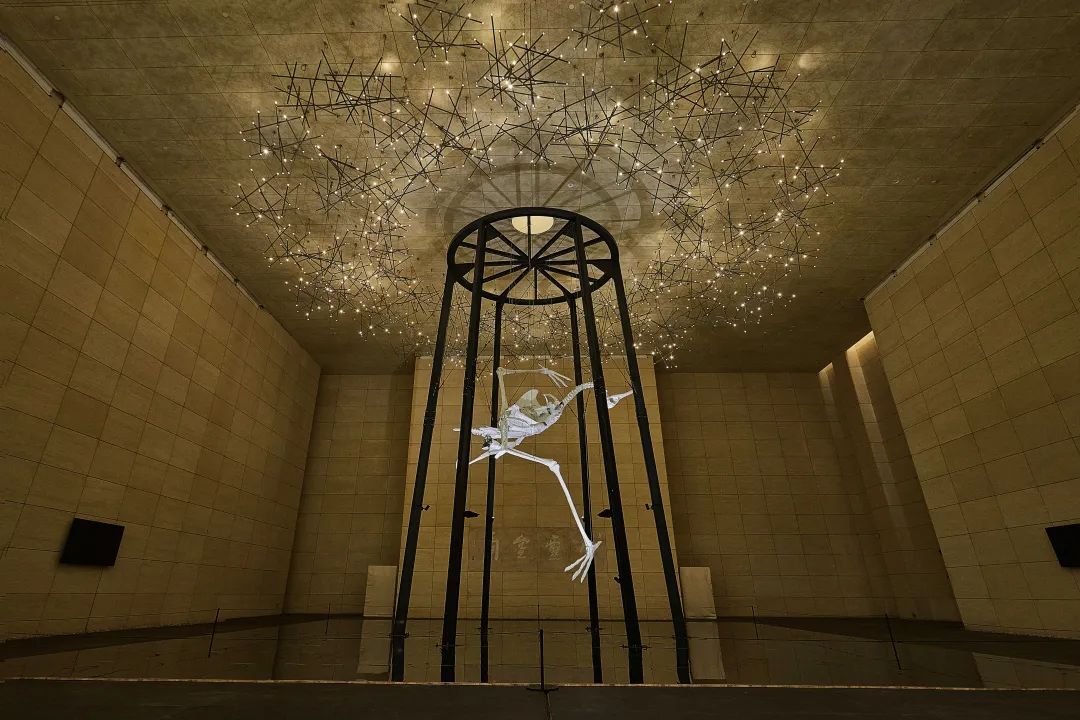 《照见》 845cm&times;540cm 装置 2020年