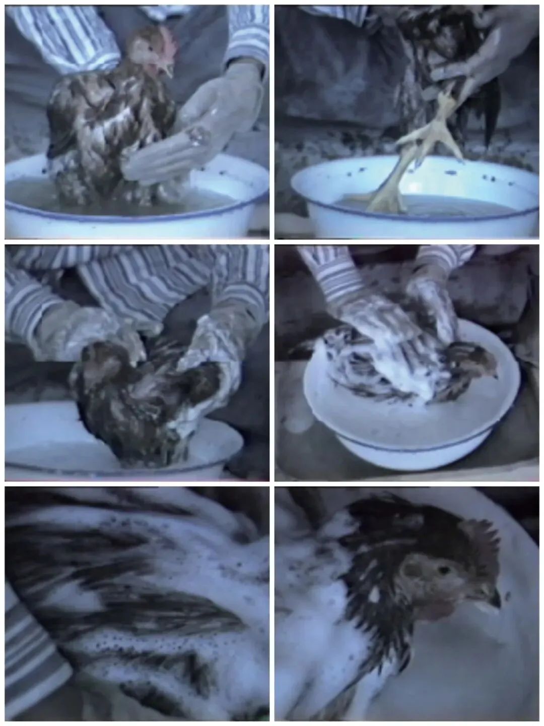 《（卫）字3号》 1991，单频录像，24分钟45秒