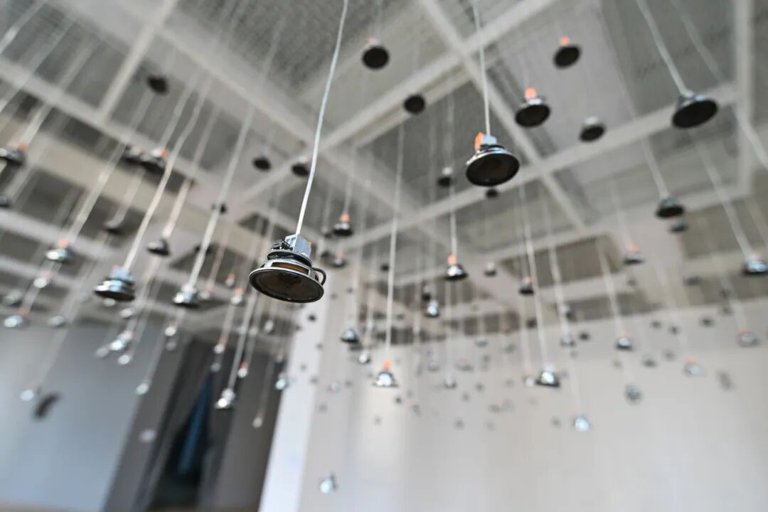 费利克斯·布卢姆（法国） 《蜂群》（Swarm），2021